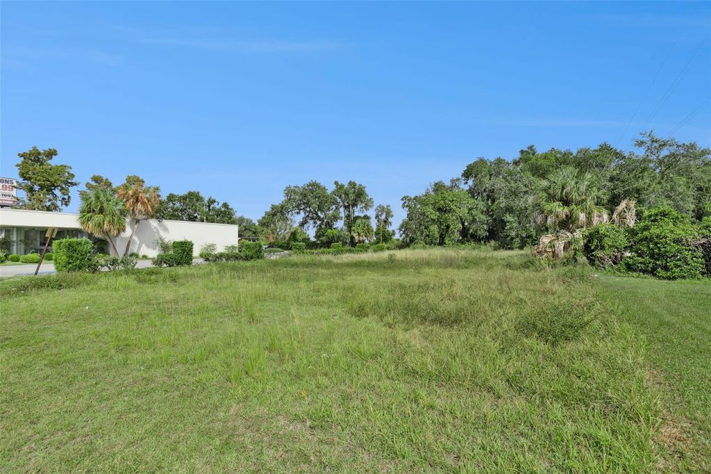 Photo of E North Boulevard, Leesburg, FL 34748 (MLS # O6349523)