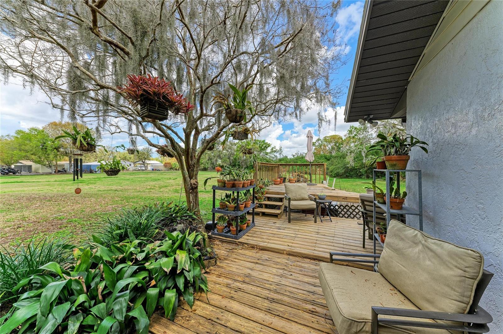 ELWOOD PARK - Residential