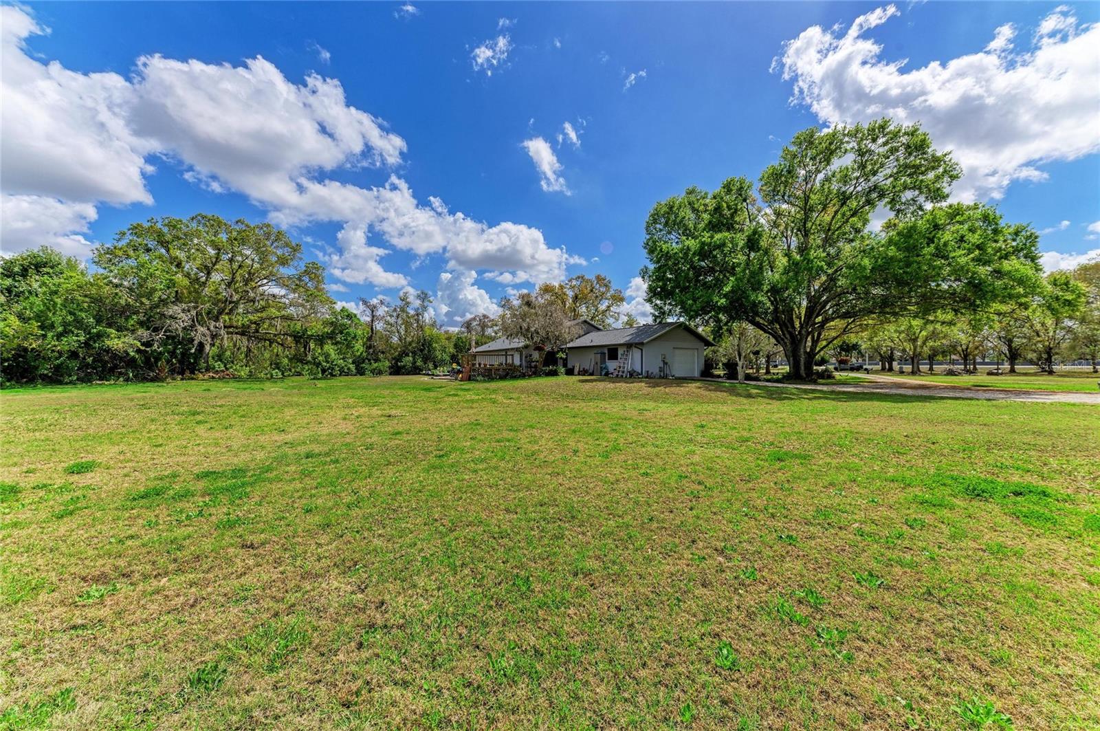 ELWOOD PARK - Residential