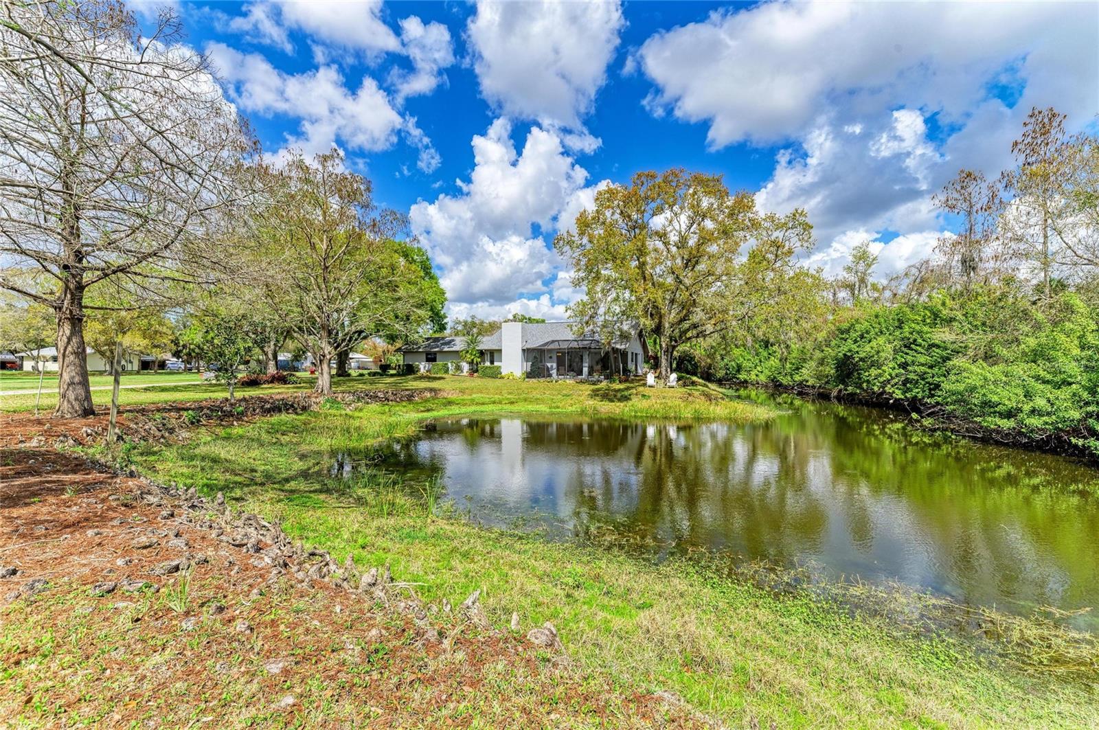 ELWOOD PARK - Residential