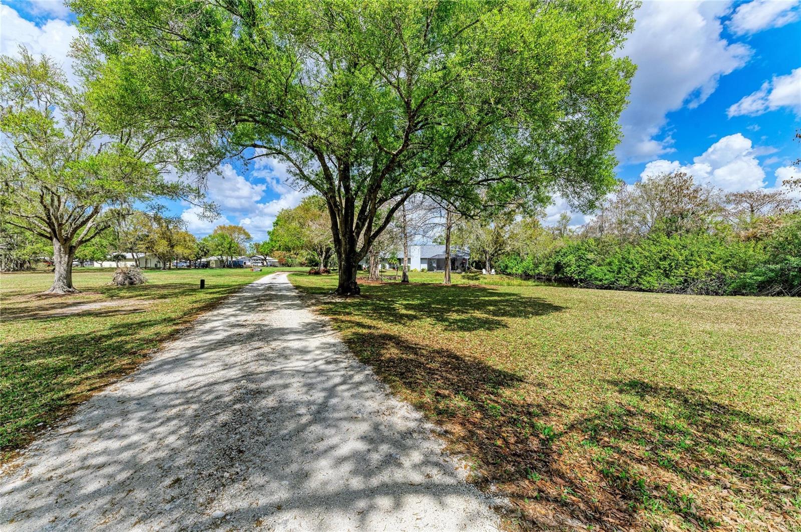ELWOOD PARK - Residential