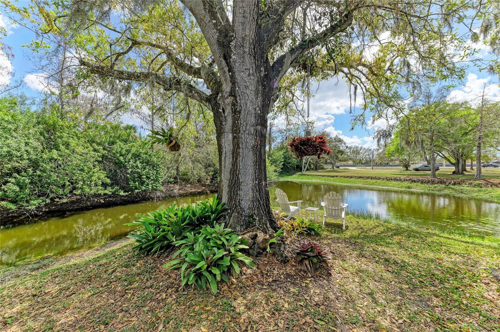 ELWOOD PARK - Residential