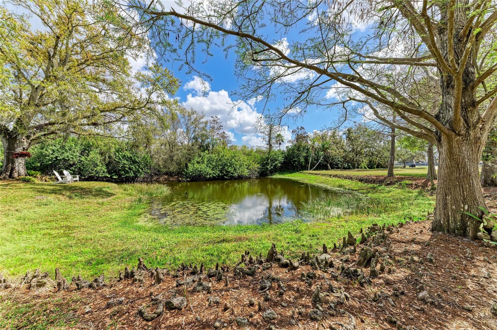 ELWOOD PARK - Residential