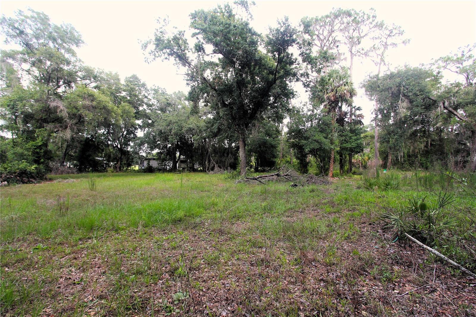 38319 COUNTY LINE ROAD