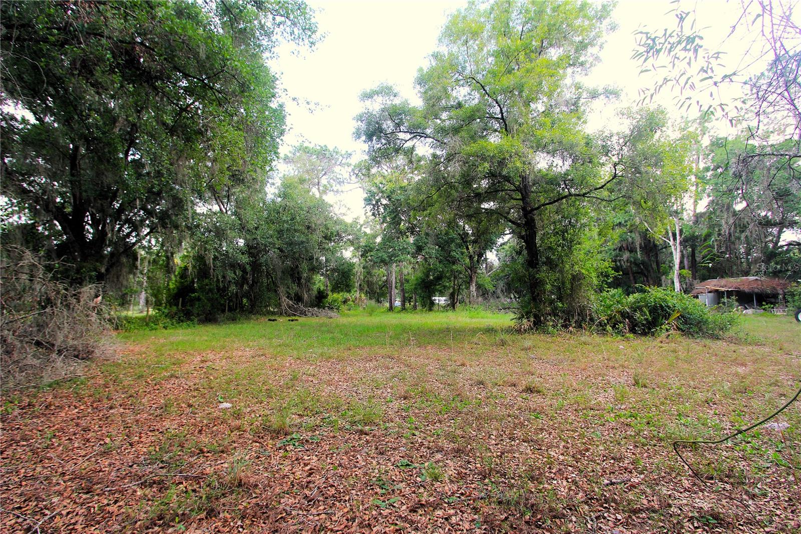 38319 COUNTY LINE ROAD