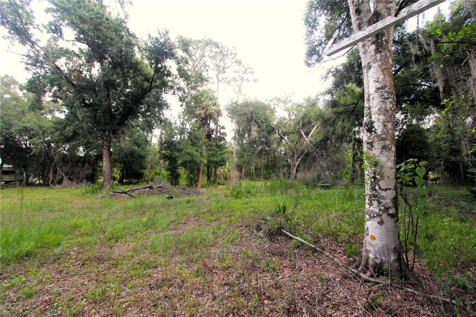 38319 COUNTY LINE ROAD