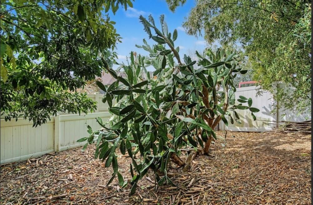 SOUTH FORK UNIT 6 - Residential