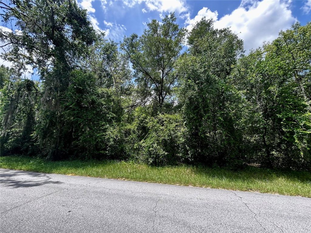 Photo of 2406 N Pine Cone Avenue, Lecanto, FL 34461 (MLS # OM705532)