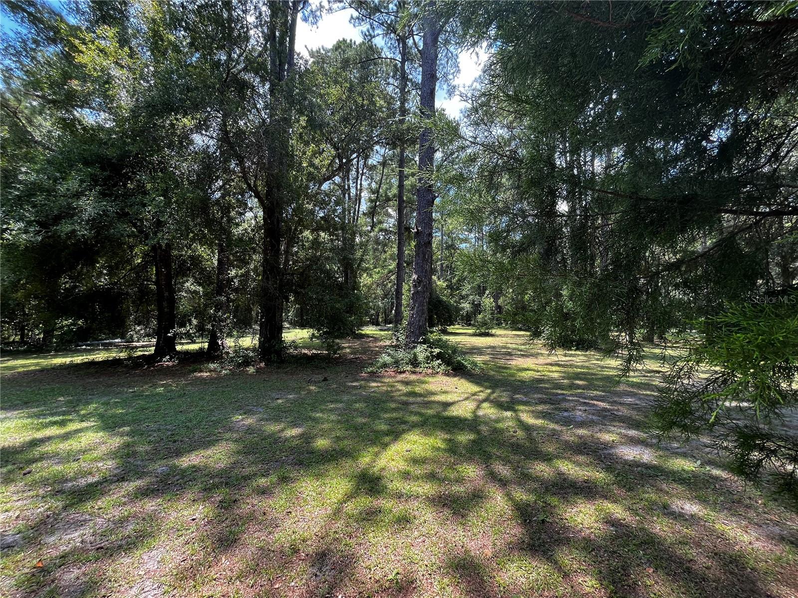 MEADOW WOOD FARMS - Land