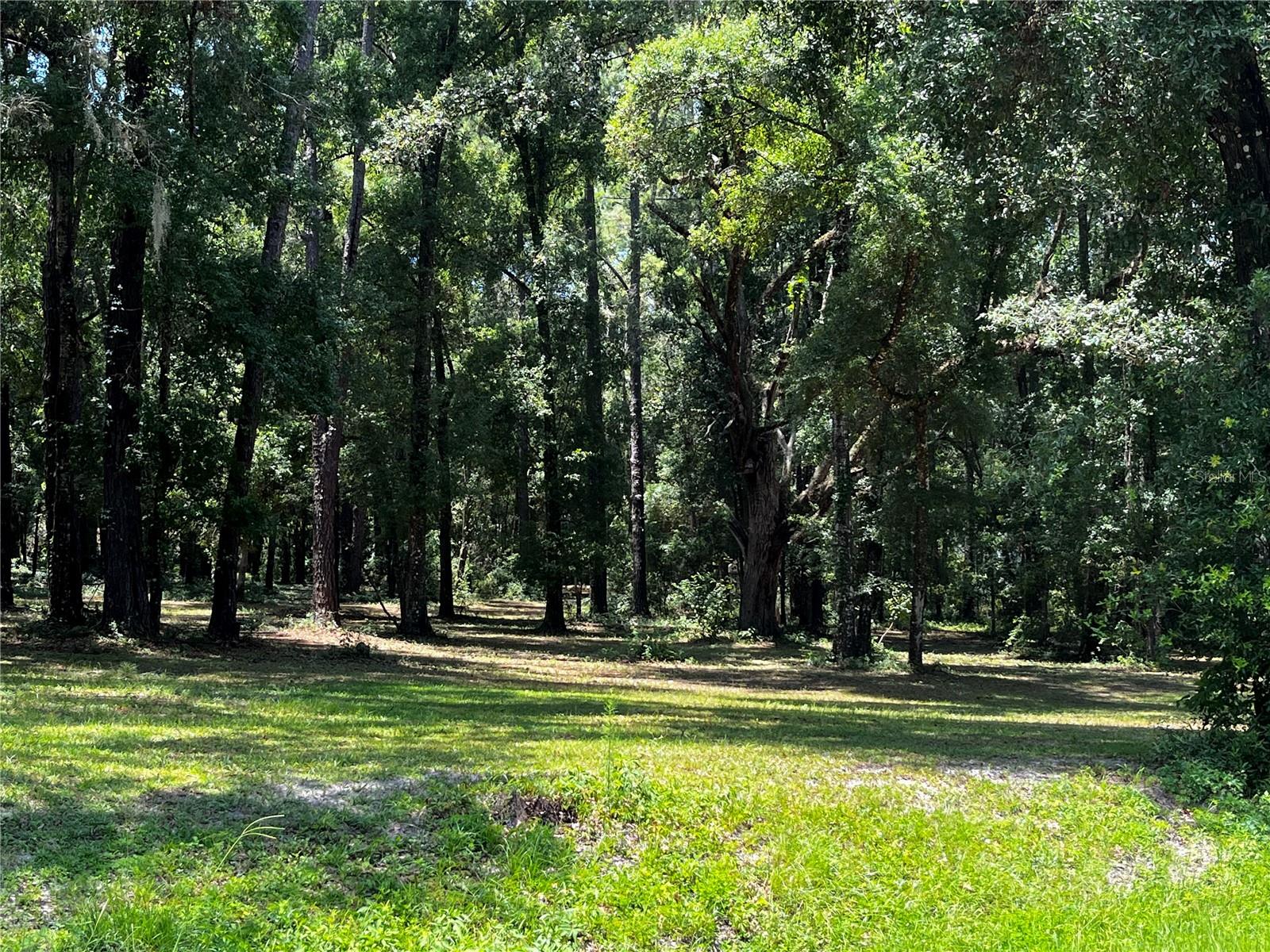 MEADOW WOOD FARMS - Land