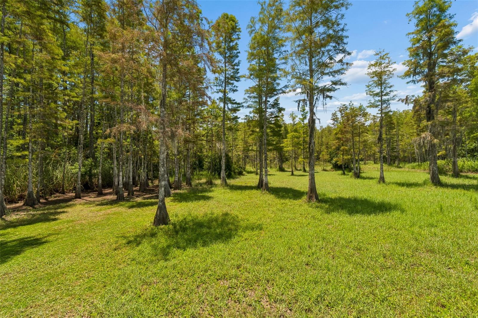 2154 GROUND SQUIRREL DRIVE