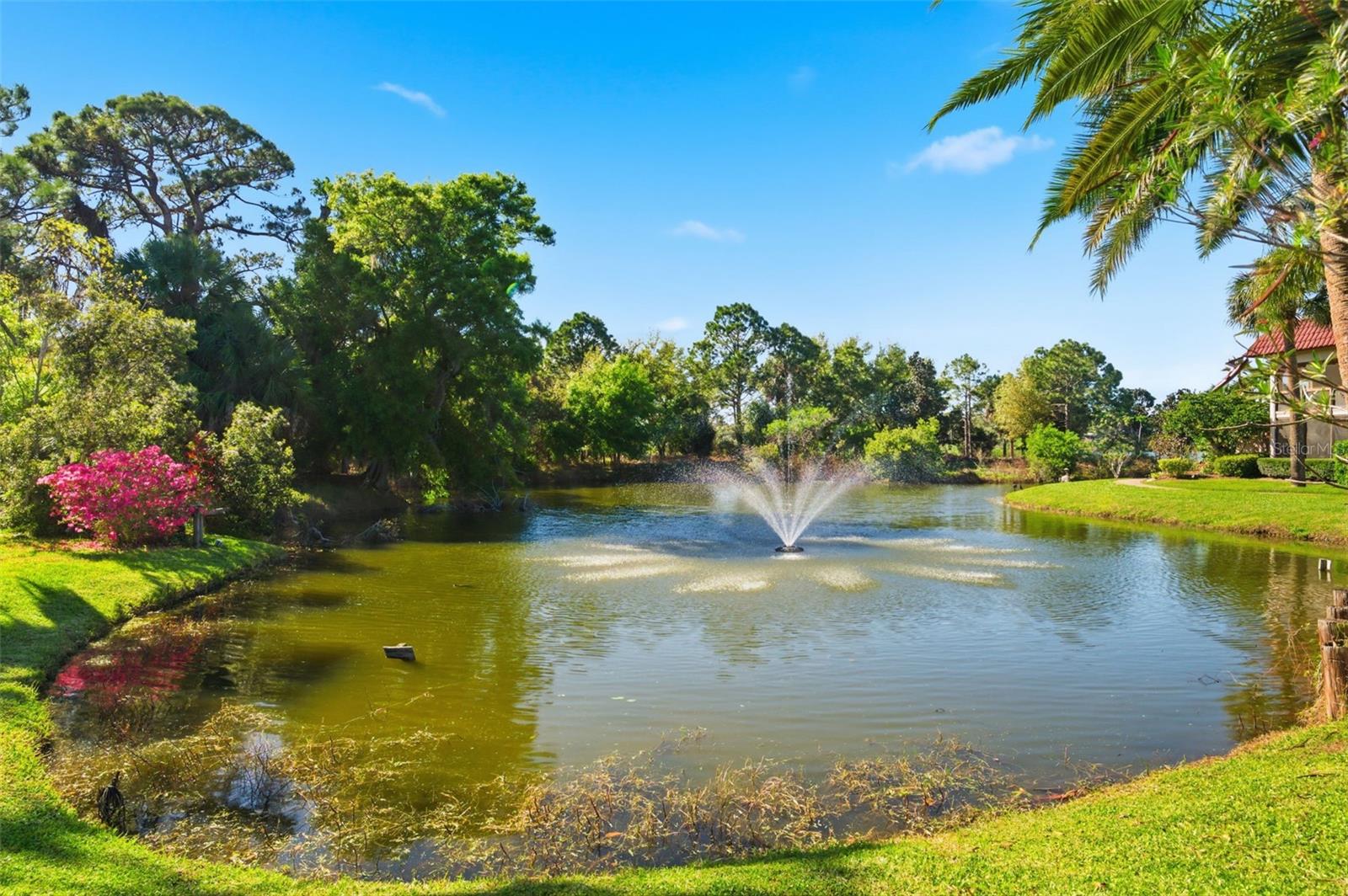 SANDAL COVE CONDO - Residential