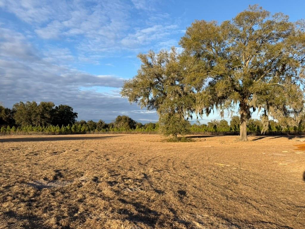 FLINT ROCK AGRIHOOD PH 2A PB 39 PG 80 - Land