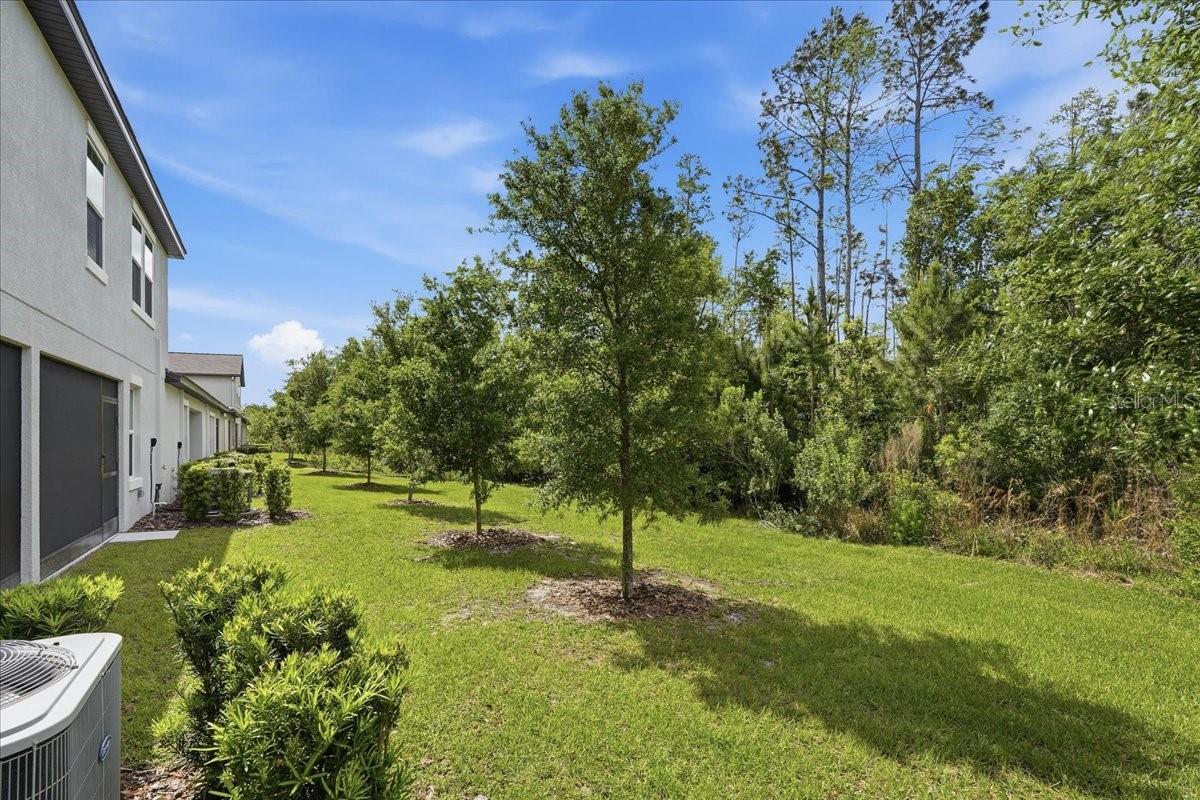 ANGELINE PH 1A-1D - Residential