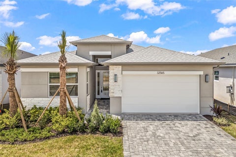 Photo of 32565 Veneto Place, Wesley Chapel, FL 33543 (MLS # TB8548483)