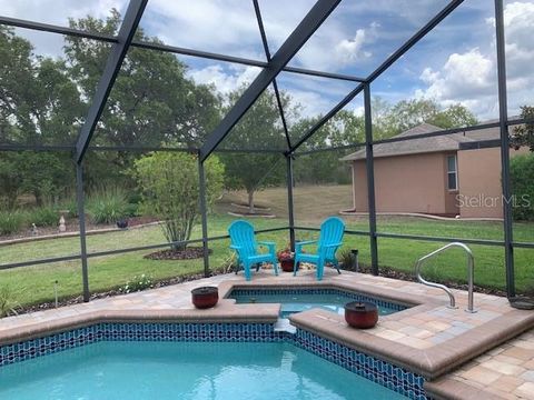 Tiny photo for 1 Mintwood Point, Homosassa, FL 34446 (MLS # TB8493306)