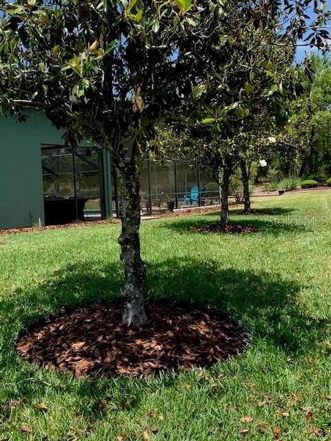 Tiny photo for 1 Mintwood Point, Homosassa, FL 34446 (MLS # TB8493306)