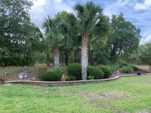 Tiny photo for 1 Mintwood Point, Homosassa, FL 34446 (MLS # TB8493306)