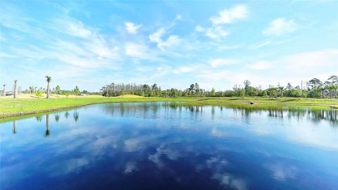 Tiny photo for 17988 Passionflower Circle, Clermont, FL 34714 (MLS # O6407032)