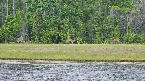 Tiny photo for 17988 Passionflower Circle, Clermont, FL 34714 (MLS # O6407032)