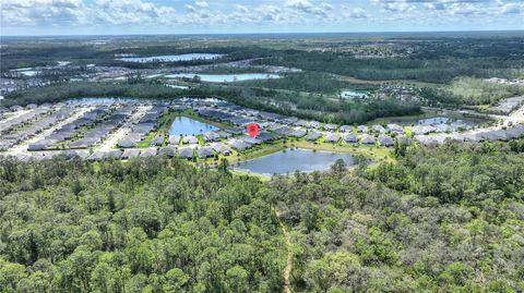 Tiny photo for 17988 Passionflower Circle, Clermont, FL 34714 (MLS # O6407032)