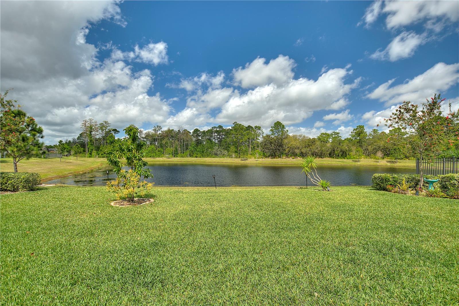 SERENOA VILLAGE PH 1A - Residential Lease