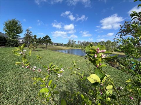 Tiny photo for 17988 Passionflower Circle, Clermont, FL 34714 (MLS # O6407032)