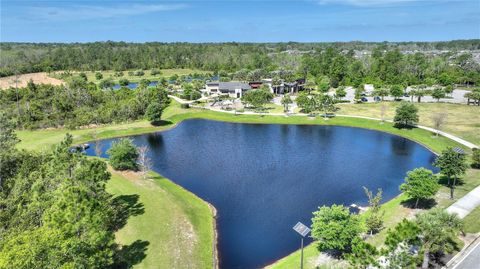 Tiny photo for 17988 Passionflower Circle, Clermont, FL 34714 (MLS # O6407032)