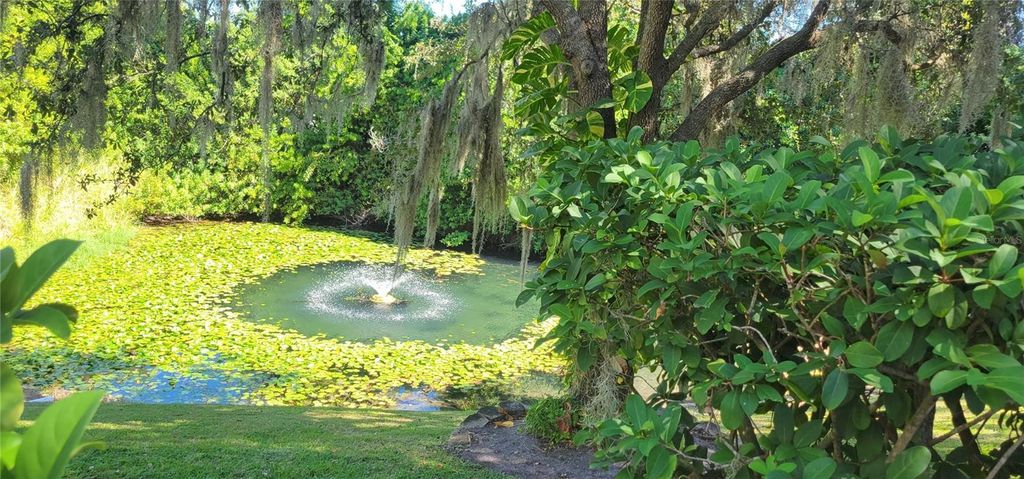 Photo of 1004 Old Mill Pond Road, Palm Harbor, FL 34683 (MLS # TB8441045)