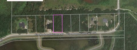 PINE MEADOWS RD EUSTIS FL 32726