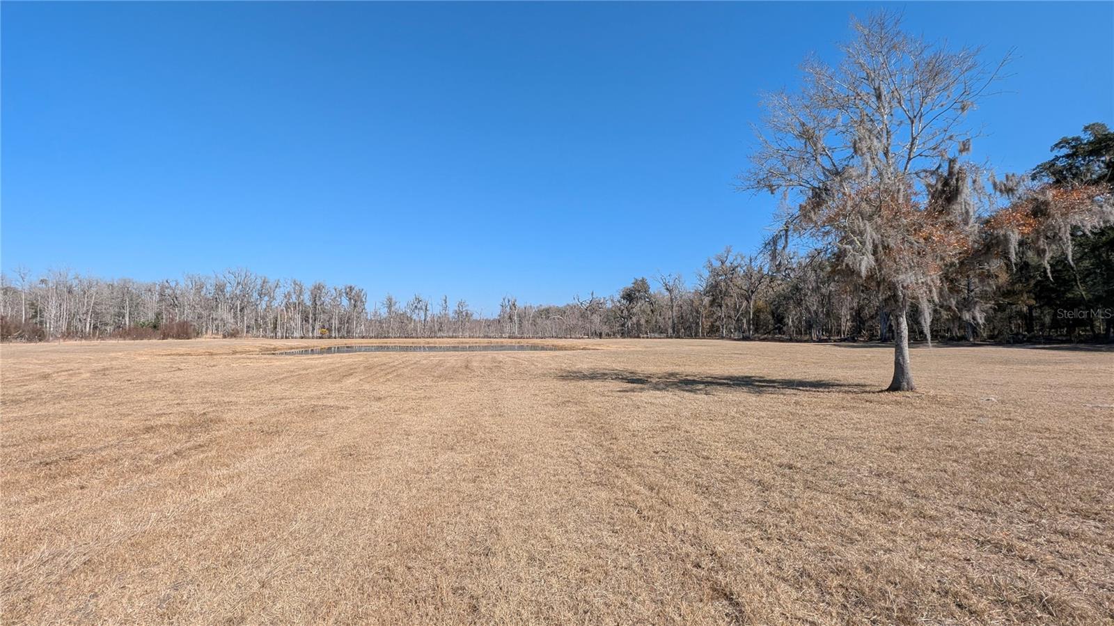 HILLS OF FLORIDA UNREC SUB - Residential