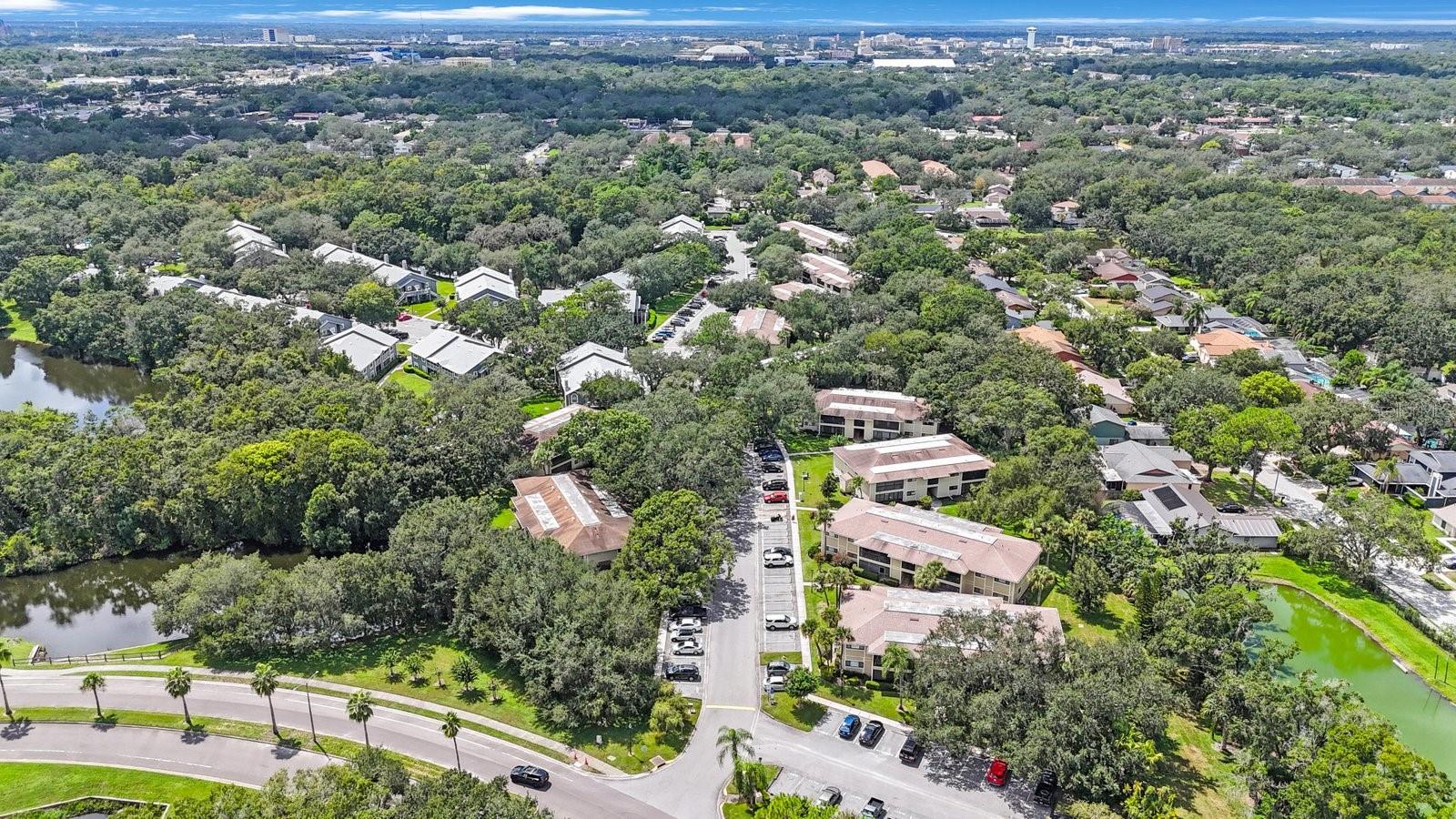 RAINTREE VILLAGE CONDO N - Residential