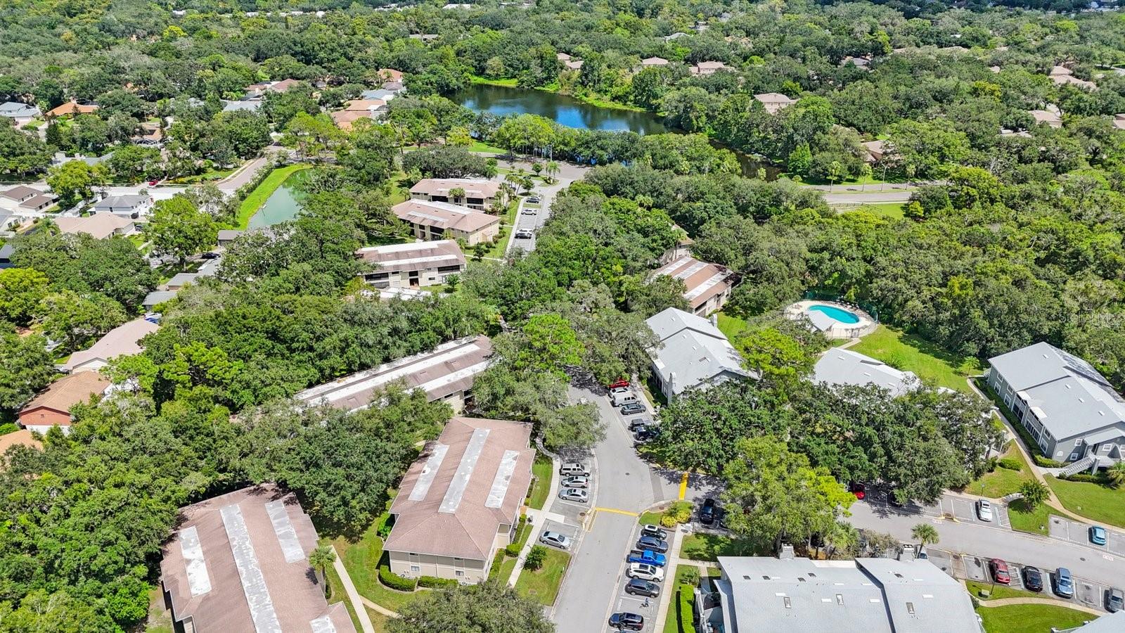 RAINTREE VILLAGE CONDO N - Residential