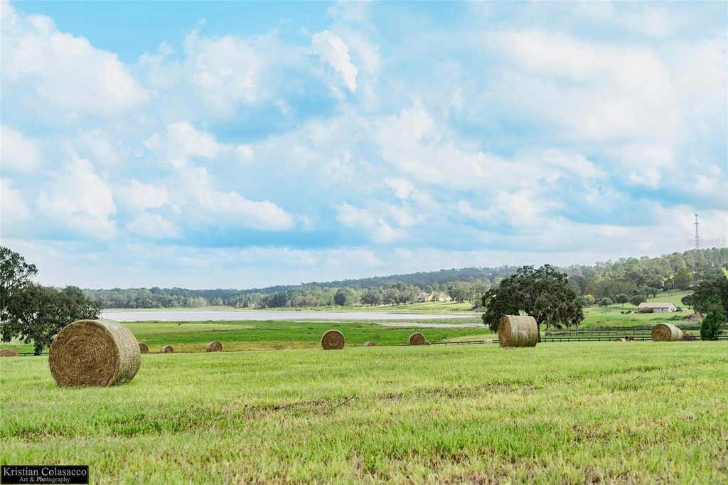 Photo of Covington Road, Dade City, FL 33525 (MLS # TB8529851)
