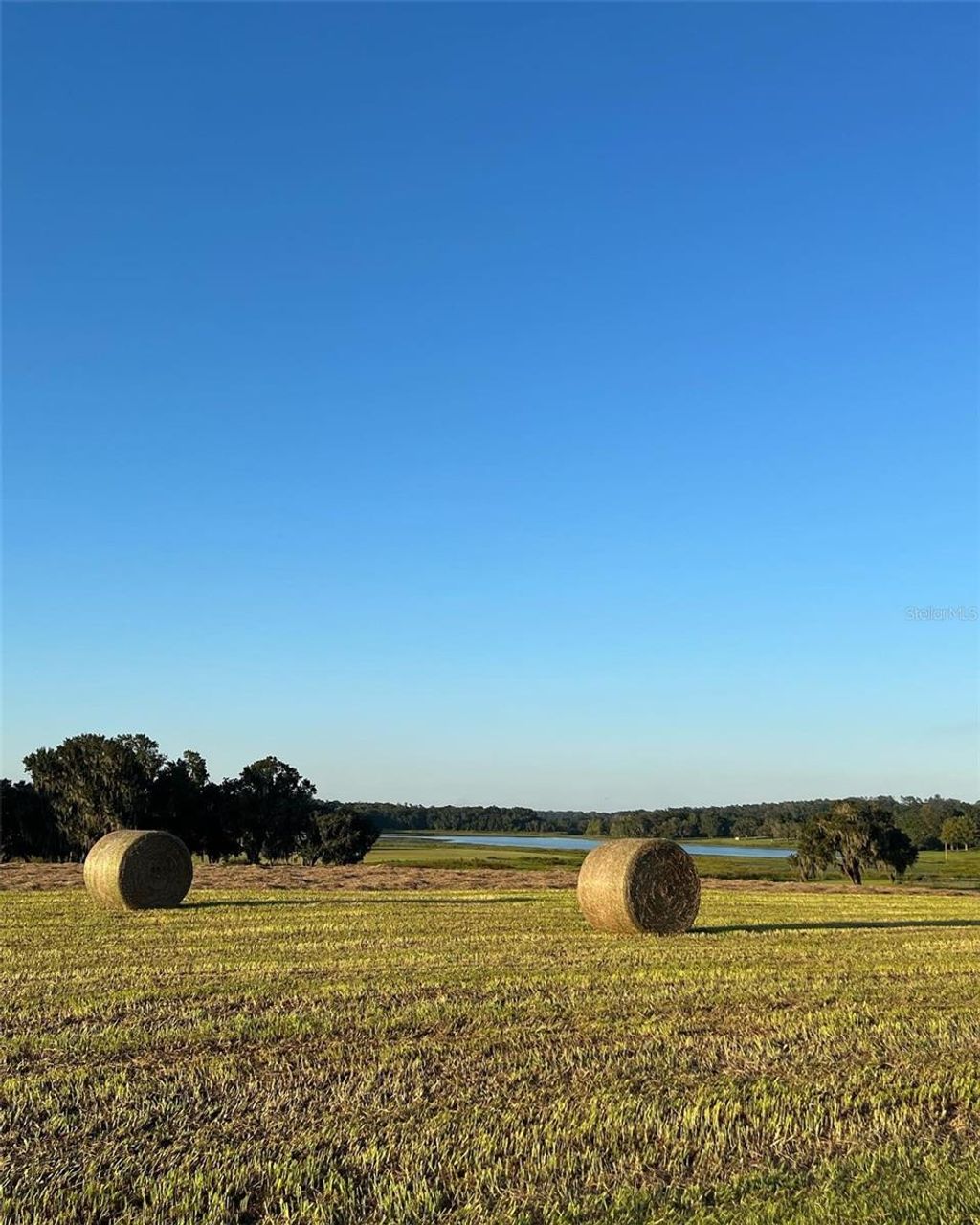 Photo of Covington Road, Dade City, FL 33525 (MLS # TB8529851)