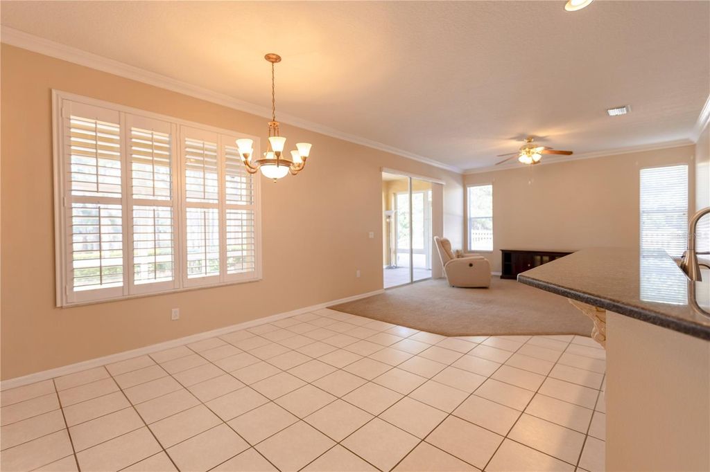 Photo of 13815 Chandron Drive, Odessa, FL 33556 (MLS # TB8447114)