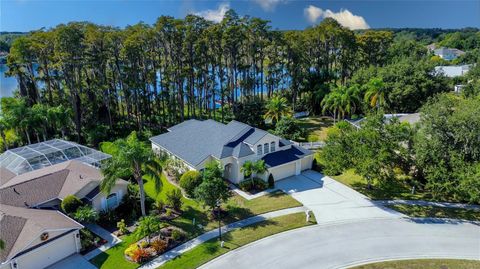 Photo of 13815 Chandron Drive, Odessa, FL 33556 (MLS # TB8447114)