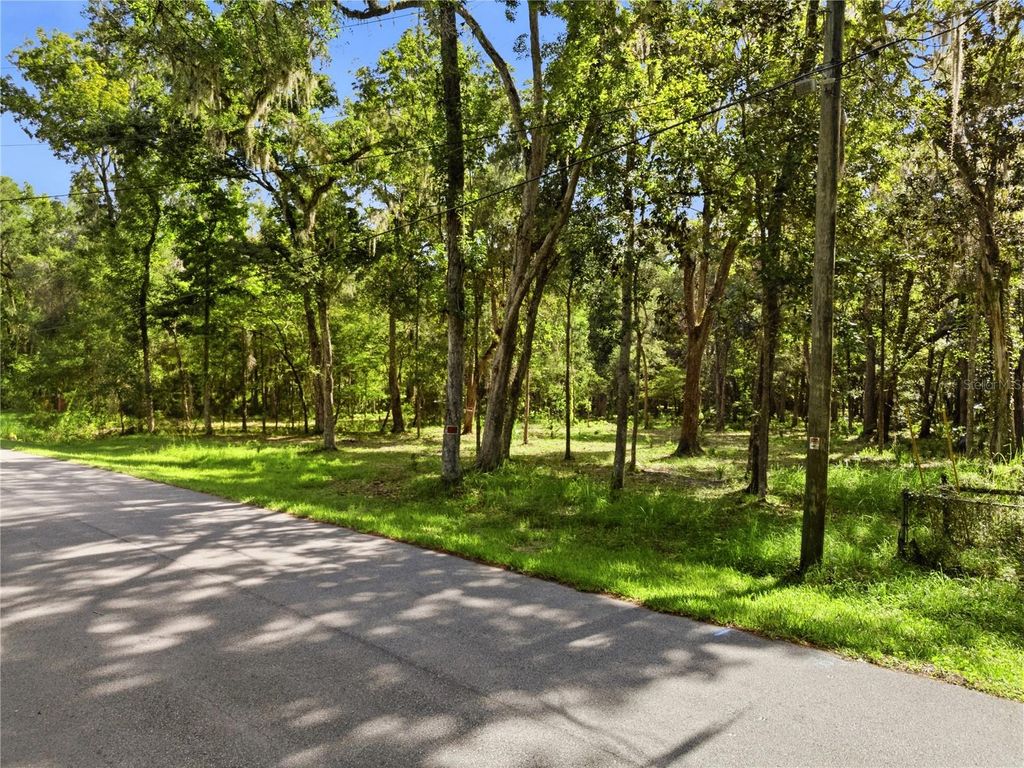 Photo of 11330 Royal Drive, Brooksville, FL 34601 (MLS # W7887665)