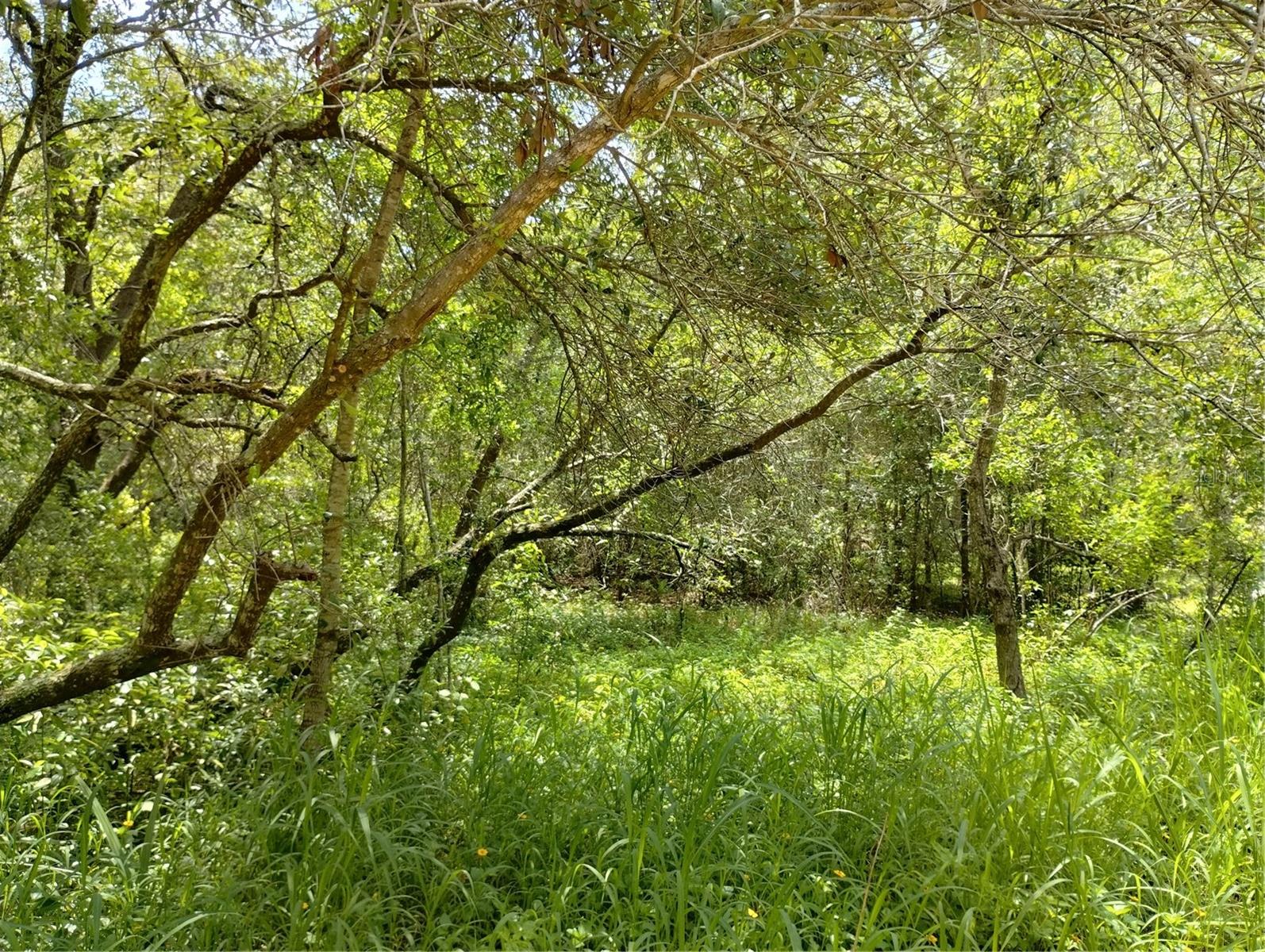 CARLTON VILLAGE SUB - Land