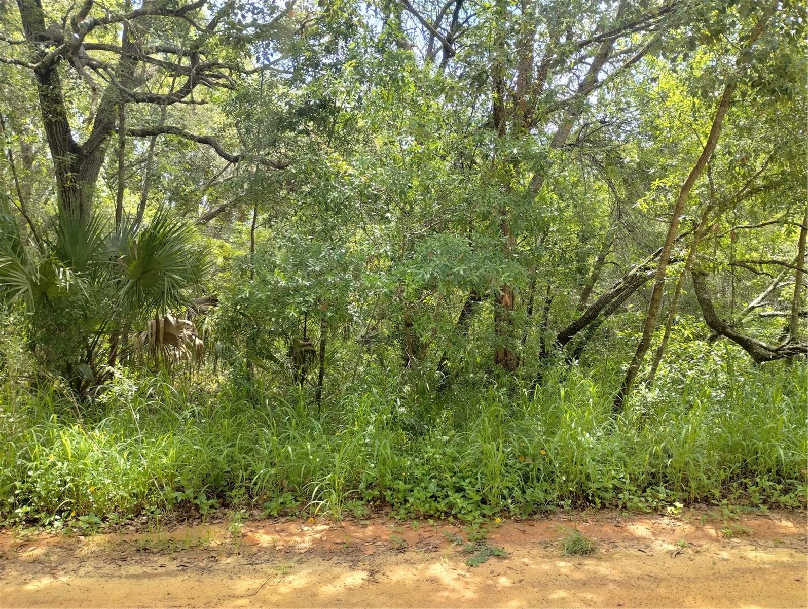 CARLTON VILLAGE SUB - Land