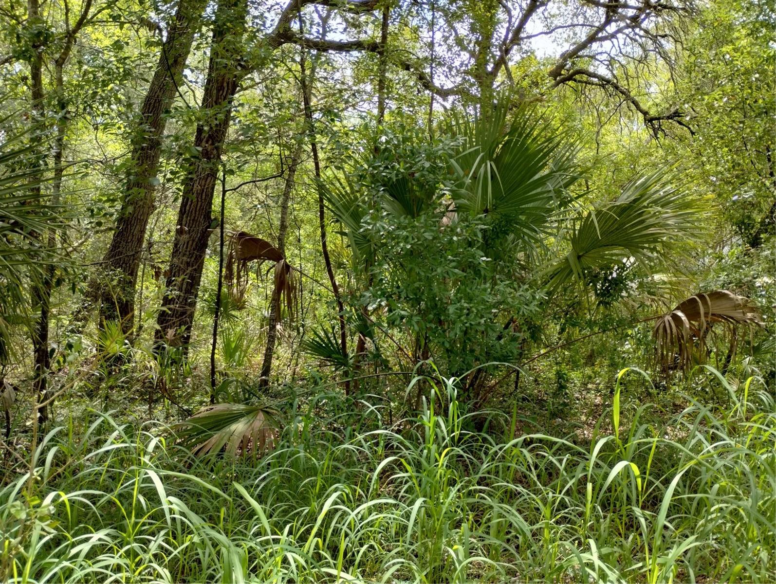 CARLTON VILLAGE SUB - Land