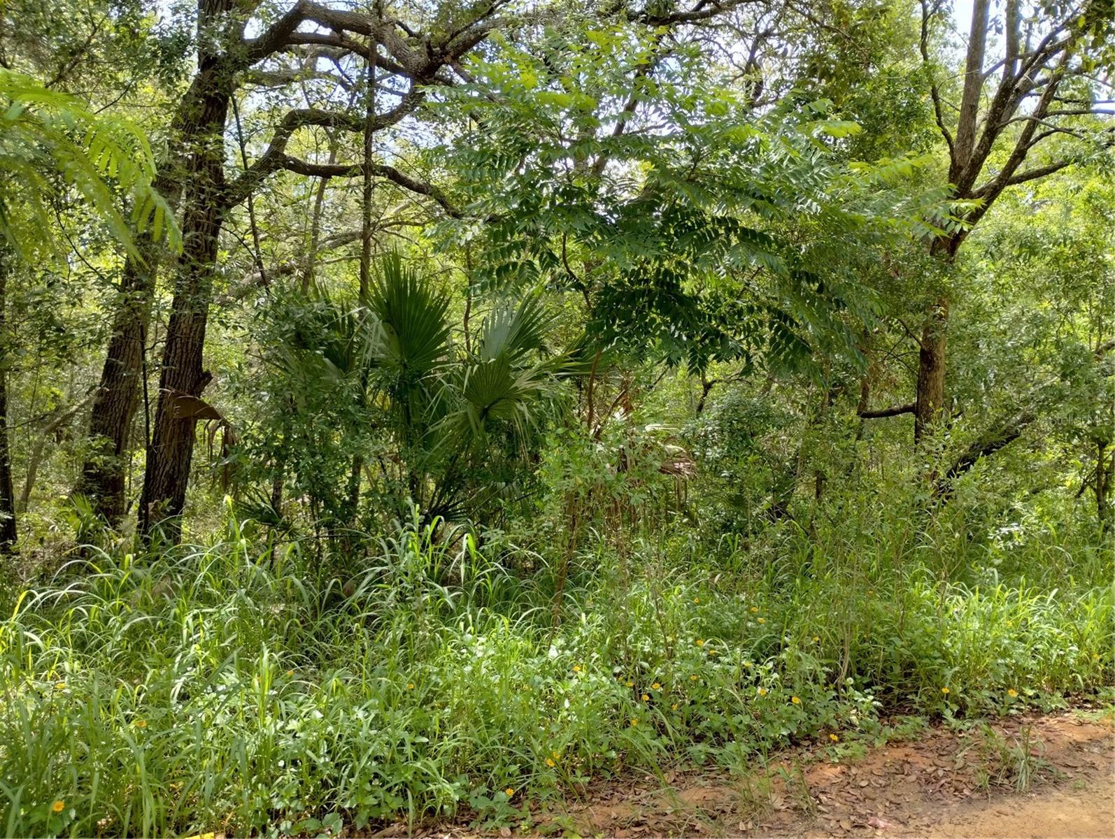 CARLTON VILLAGE SUB - Land