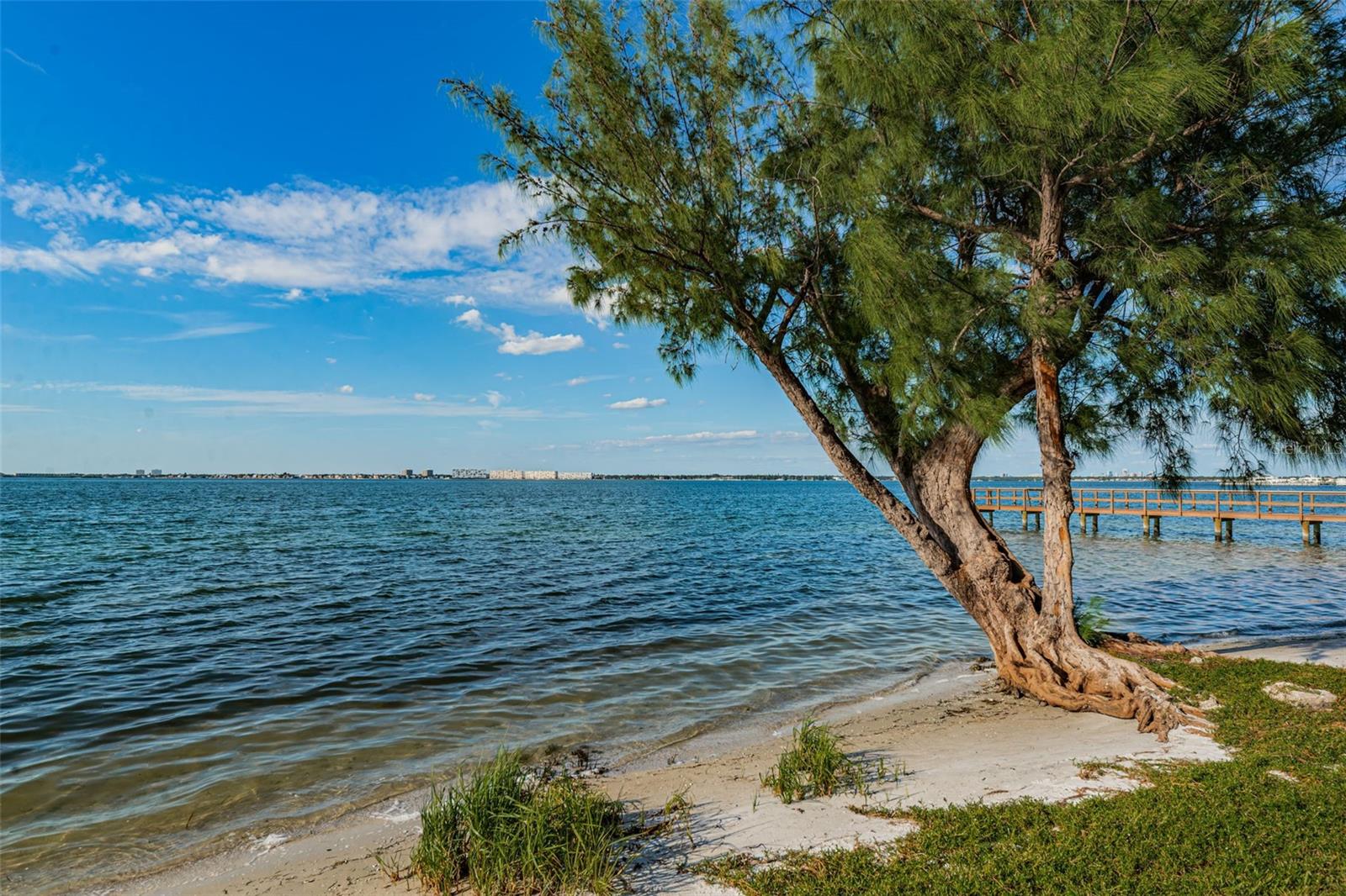 CASA DEL MAR CONDO III - Residential