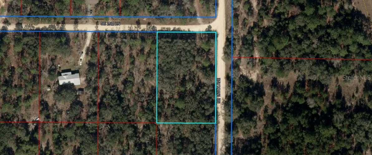 Build your dream escape or investment portfolio on this beautiful parcel of land in the peaceful countryside of Williston, Florida. This undeveloped land offers natural beauty, privacy, and flexible use—all just 30 minutes from Gainesville and Ocala.Whether you're seeking a quiet homesite, weekend retreat, or long-term land investment, this Levy County property is a smart choice.
