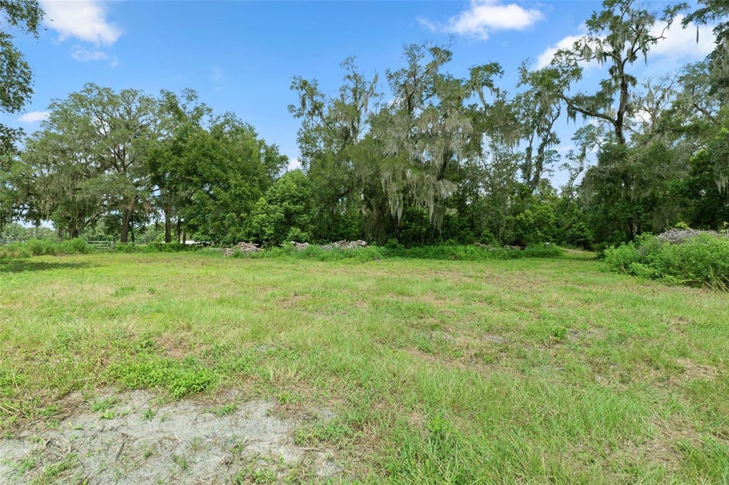 Photo of 0 Trilby Cutoff Road, Dade City, FL 33523 (MLS # W7888597)
