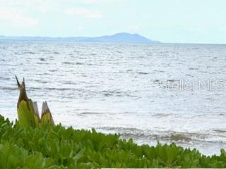 THE MARBELLA CLUB - Residential