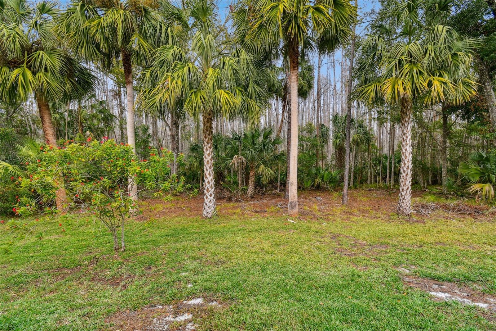 RICHMOND PLACE PH 4 - Residential