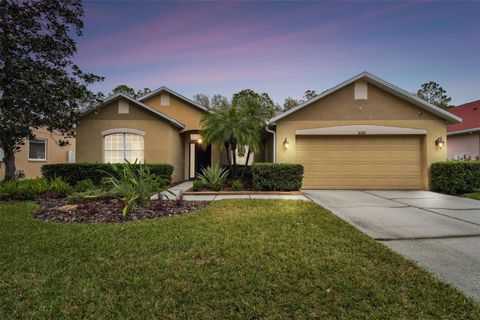 8106 KENDELWICK COURT TAMPA FL 33647