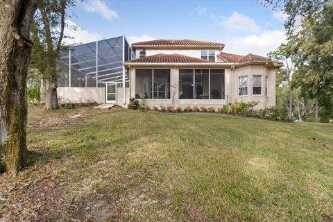 Tiny photo for 2257 N Hickory Glen Point, Hernando, FL 34442 (MLS # OM691832)