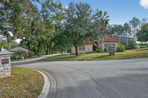 Tiny photo for 2257 N Hickory Glen Point, Hernando, FL 34442 (MLS # OM691832)